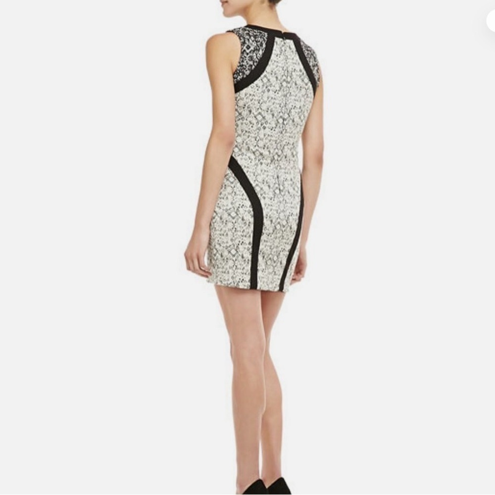 Parker Black and White Lace Mini Dress - Picture 2 of 9